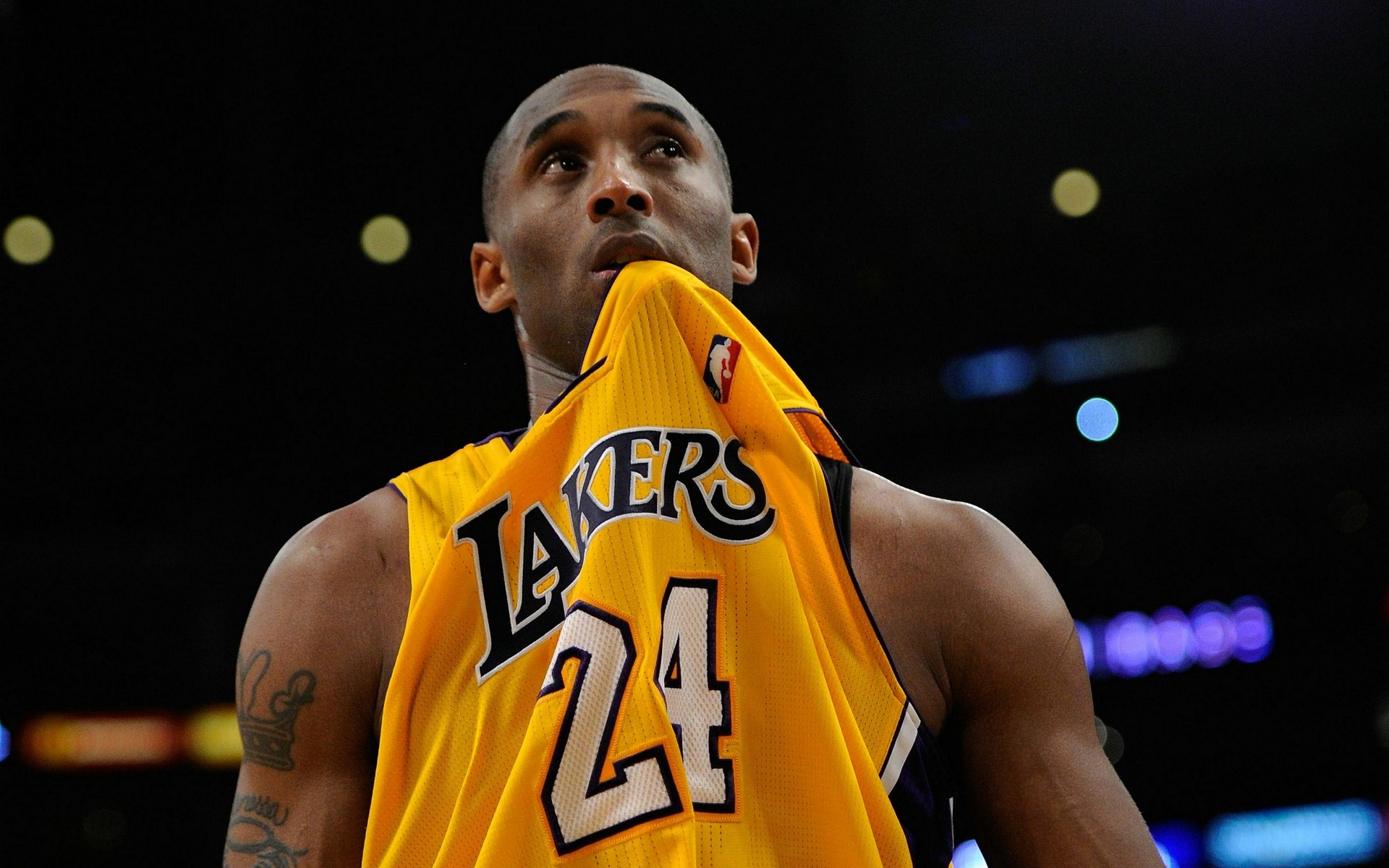 足以概括这 足以概括这