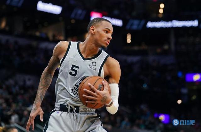 视线遮挡 视线遮挡